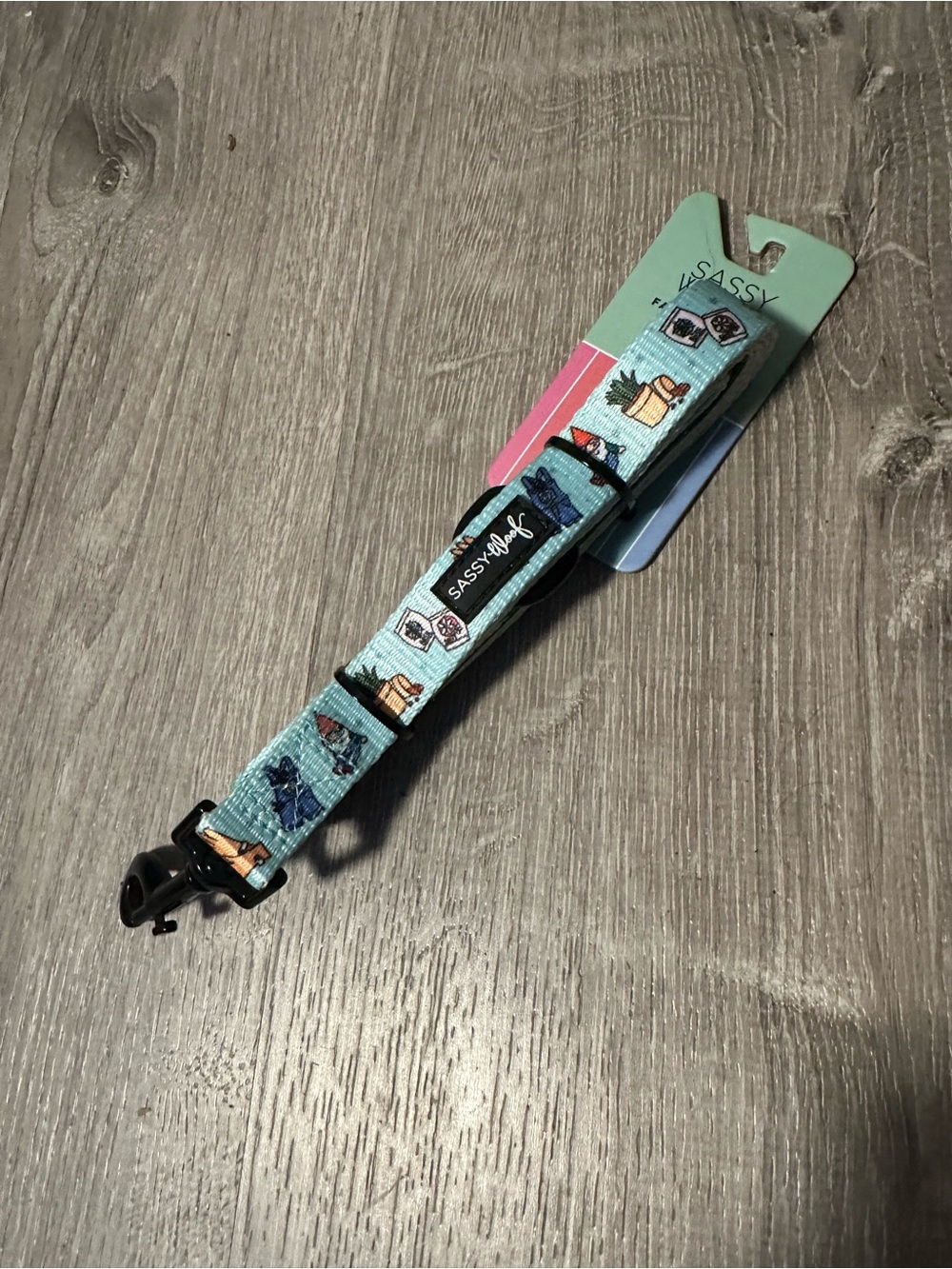 SASSY Teal Kids Dog Collar with Playful Puppy Prints
